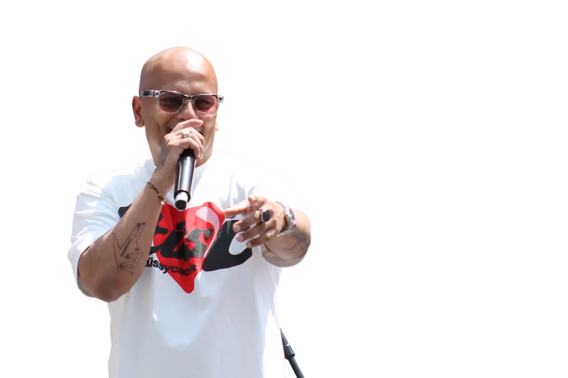 DESIFEST featured artist